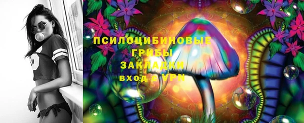 стаф Баксан