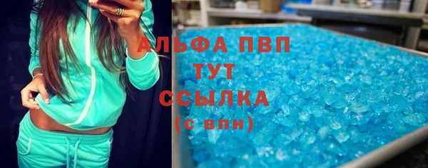 стаф Баксан